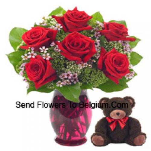 7 Red Roses with Cute 14 Inch Teddy