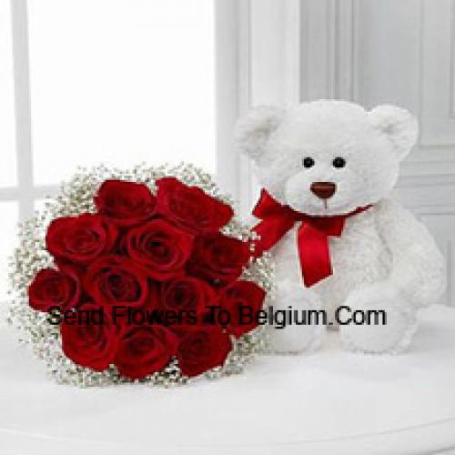 11 Red Roses with 14 Inch Cute Teddy