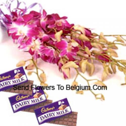 Niedliche rosa Orchideen mit Cadbury-Schokolade