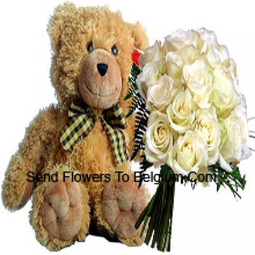 19 Weiße Rosen mit 14 Zoll Teddy