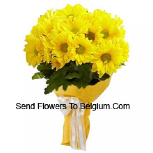 Cool 19 Yellow Gerberas