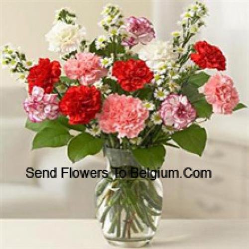 Cute 11 Mixed Carnations