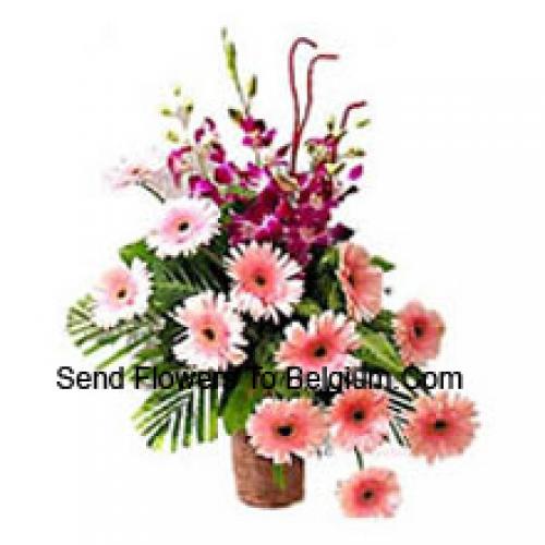 Gerberas Sensacionais com Orquídeas