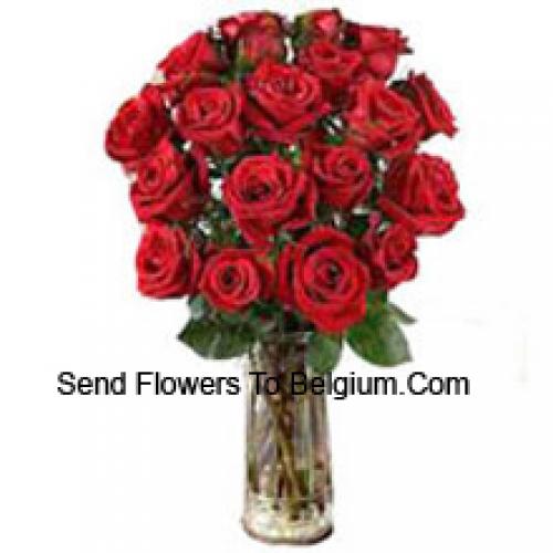 19 Shiny Red Roses