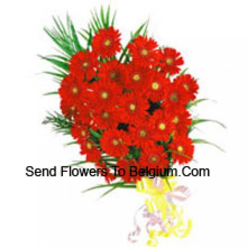 25 Exotic Red Gerberas