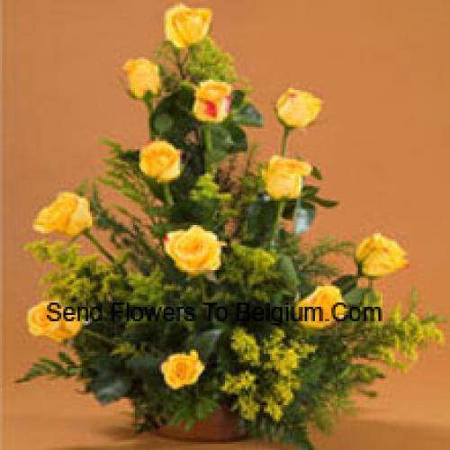 11 Charming Yellow Roses