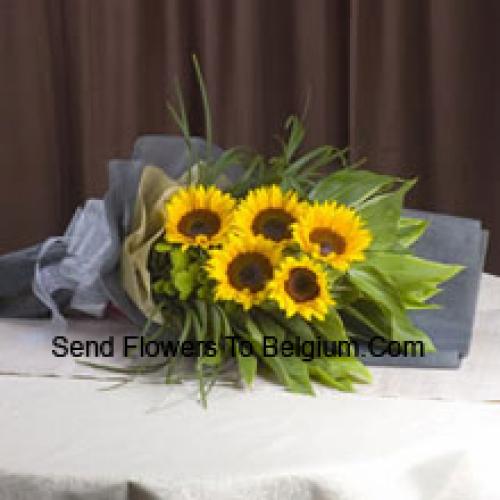 Handpicked Sunflowers Bunch