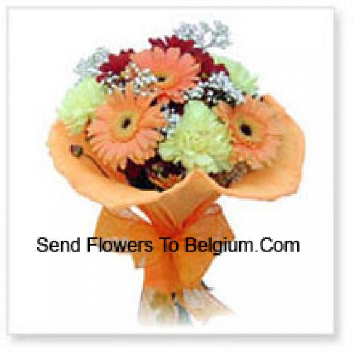 11 Assorted Cute Gerberas