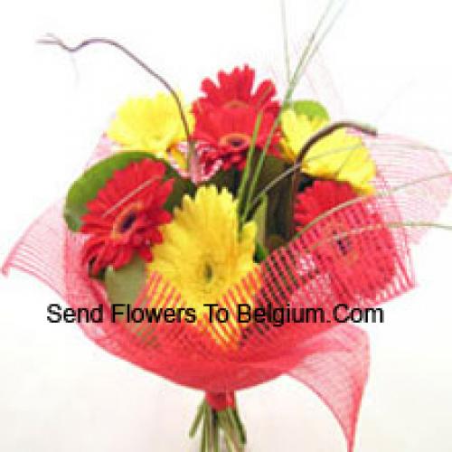 Cute Mixed Gerberas