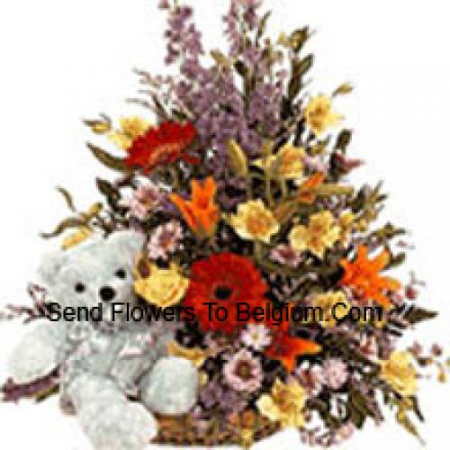 Mixed Flower Basket with Teddy