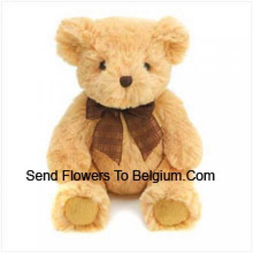 Cuddly 6 Inch Brown Teddy