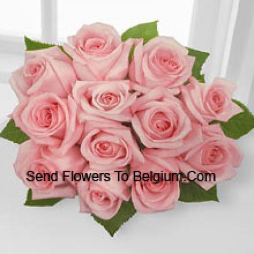 11 Beautiful Pink Roses