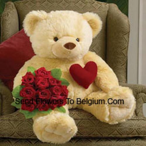 11 Rode Rozen met Knuffel 32 Inch Teddy