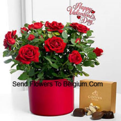 25 Rosas Vermelhas com Deliciosos Chocolates Godiva